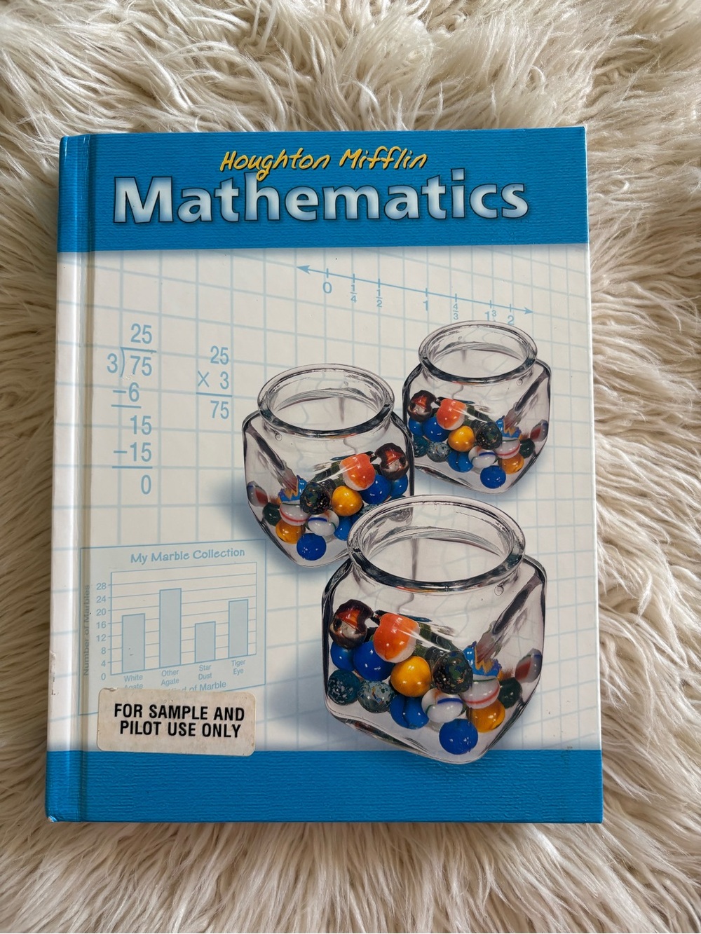 Houghton Mifflin Mathematics Textbook Workbook Homeschool 4th Grade Student Math